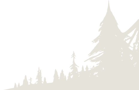 Forêt immersive droite